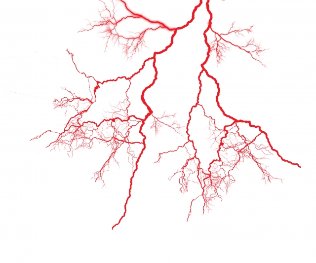 血管イメージ